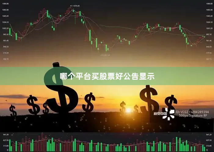 哪个平台买股票好公告显示