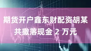 期货开户鑫东财配资胡某共撒落现金 2 万元