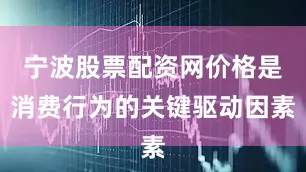 宁波股票配资网价格是消费行为的关键驱动因素